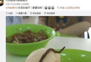 最新新康饭菜爆料,揭秘校园美食背后的秘密！”